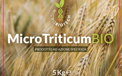 MicroTriticum BIO