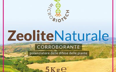 Zeolite Naturale