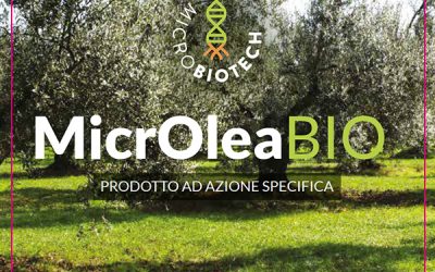 MicrOlea BIO